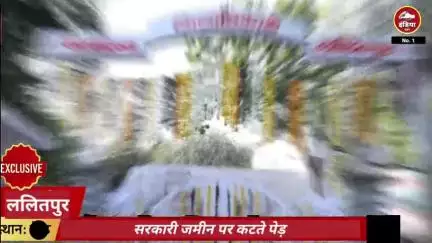 ललितपुर जिले के टिकरा तिवारी गांव में सरकारी जमीन पर काटे गए हरे भरे वृक्ष