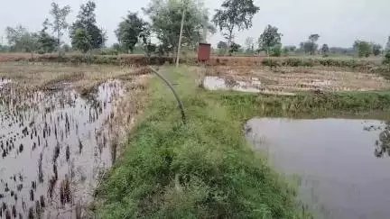 मोहाडी: धर्मापुरी शेतशिवारातून मोटरपंप चोरी करणारे २ चोरटे मोहाडी पोलिसांच्या ताब्यात, आरोपीविरुद्ध गुन्हा दाखल