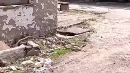 लाडपुरा: भीमगंजमंडी क्षेत्र के जैन मार्शल कॉलोनी में फार्म हाउस में घुसा 2 सांपों का जोड़ा, मच गया हड़कंप, किया गया रेस्क्यू
