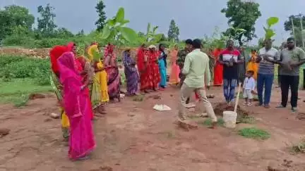 टाटीझरिया: टाटीझरिया के खैरा जंगल में वन विभाग ने चलाया पौधरोपण अभियान