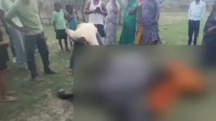 बदलापुर: राउतपुर गांव में आकाशीय बिजली की चपेट में आने से भैंस की मौत, पशुपालक को हुआ भारी नुकसान