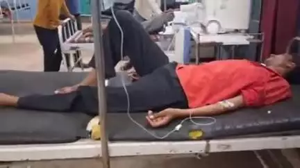 सिहोरा: पहरेवा में सांप पकड़ने वाले व्यक्ति को जहरीले सांप ने काटा, इलाज जारी