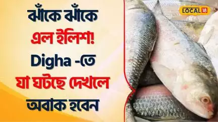 Bangla News | ঝাঁকে ঝাঁকে এল ইলিশ! Digha -তে যা ঘটছে দেখলে অবাক হবেন | Ilish | Hilsa Fish #Local18