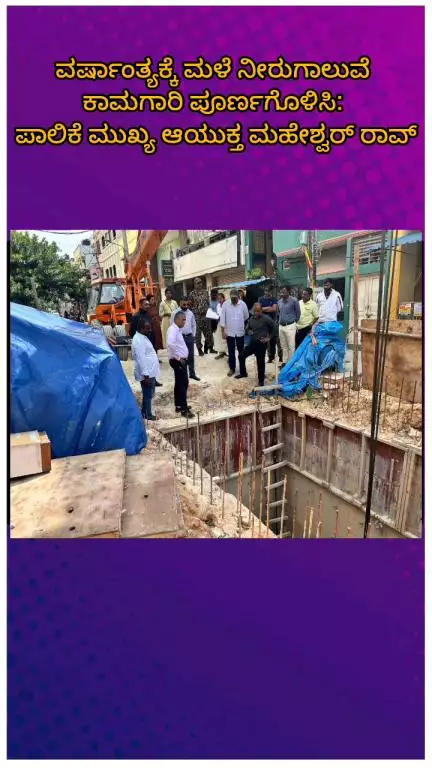 ಬೆಂಗಳೂರು ದಕ್ಷಿಣ: ವರ್ಷಾಂತ್ಯಕ್ಕೆ ಮಳೆ ನೀರುಗಾಲುವೆ ಕಾಮಗಾರಿ ಪೂರ್ಣಗೊಳಿಸಿ: ಪಾಲಿಕೆ ಮುಖ್ಯ ಆಯುಕ್ತ ಮಹೇಶ್ವರ್ ರಾವ್