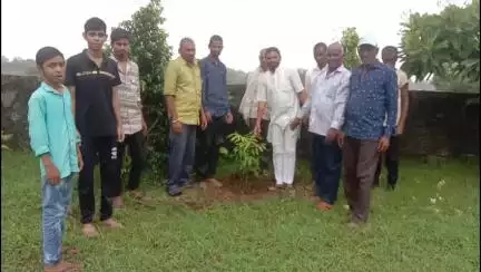 आनंदपुरी: आनंदपुरी में भाजपा की मंडल स्तरीय बैठक के बाद किया गया वृक्षारोपण