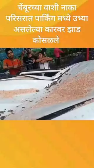 चेंबूरच्या वाशी नाका परिसरात पार्किंग मध्ये उभ्या असलेल्या कारवर झाड कोसळले
