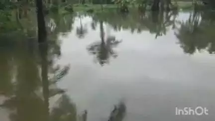 തിരുവല്ല: മഴ കുറഞ്ഞിട്ടും വെള്ളക്കെട്ടൊഴിഞ്ഞില്ല, താലൂക്കിൽ രണ്ടു ദുരിതാശ്വാസ ക്യാമ്പുകൾ പ്രവർത്തിക്കുന്നു