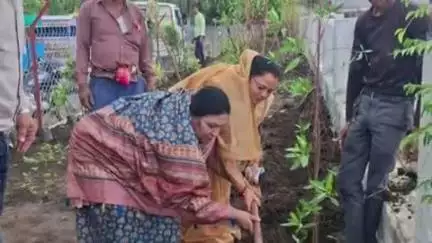 गोहरगंज: एक पेड़ मां के नाम" अभियान के तहत मंडीदीप में हुआ वृक्षारोपण
नगर पालिका अध्यक्ष  मौजूद