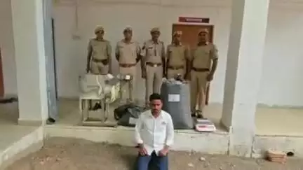 शिव: पुलिस थाना शिव ने 40 किलो 710 ग्राम मादक पदार्थ डोडा पोस्त बरामद करने में सफलता, एक आरोपी गिरफ्तार