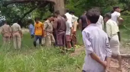 खागा: टेकारी गांव के जंगल में हुई गौकशी, फोर्स ने अज्ञात के खिलाफ मुकदमा दर्ज कर अवशेष को सैंपलिंग के लिए भेजा, खागा का मामला