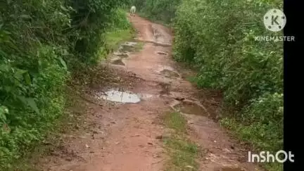ଲାଞ୍ଜିଗଡ: ଦୁର୍ମୁସୀର ଦୁର୍ଦ୍ଦଶା ରାସ୍ତା ଅଭାବ ଗାଁରେ ପହଂଚି ପାରୁନି ଆମ୍ବୁଲେନ୍ସ ଅସହାୟ ଗର୍ଭବତୀ # jansamasya
