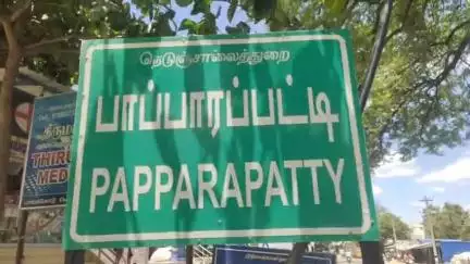பென்னாகரம்: மாமரத்துப்பள்ளம் பாலத்தின் கீழ் அழுகிய நிலையில் முதியவர் பிணம். போலீசார் விசாரணை