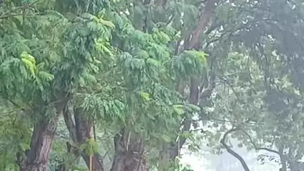 જામનગર શહેર: જામનગર શહેરમાં સવારથી ઝરમર વરસાદ