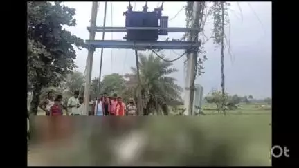 नबीनगर: मुंगिया गांव में बिजली के तार की चपेट में आने से दो गायों की हुई मौत