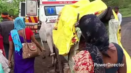 परसिया: परासिया: खराब सड़क के कारण बैलगाड़ी से 3.5 किमी चली जननी, पाठाखुरी में एंबुलेंस में दिया बच्चे को जन्म