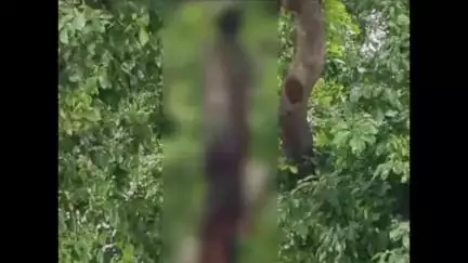 फतेेहपुर: शैली किरतपुर गांव में पेड़ से लटका मिला अज्ञात युवक का शव, बाराबंकी-सीतापुर सीमा विवाद के कारण अटका पोस्टमार्टम