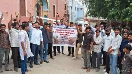 बीदासर: बीदासर में गौभक्तों ने निकाली जन आक्रोश रैली, मृत गौवंशों के भूमिगत क्रियाकर्म की मांग की