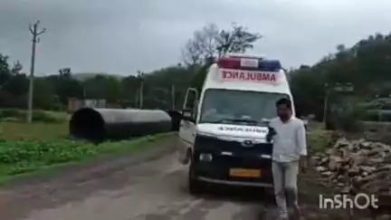 पीपलखूंट: मोरवानिया हनुमान मंदिर के पास पेड़ गिरने से थ्री फेस लाइन क्षतिग्रस्त, बिजली आपूर्ति ठप