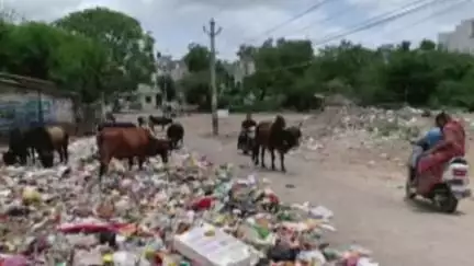 ब्यावर: ब्यावर में कचरा डिपो को लेकर आमजन परेशान, स्थानीय लोग बोले- बदबू और बीमारी से हैं परेशान, आंदोलन की दी चेतावनी