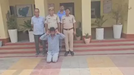 पीलीबंगा: पीलीबंगा पुलिस ने 16 किलो डोडा पोस्त की बरामदगी की, अनुसंधान अधिकारी ने सप्लायर को किया गिरफ्तार