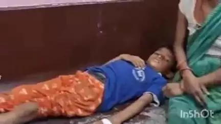 धौरहरा: शीतलापुर गांव में नल से पानी पीते समय 9 वर्षीय मासूम को जहरीले सांप ने डसा, समय पर इलाज से बची जान