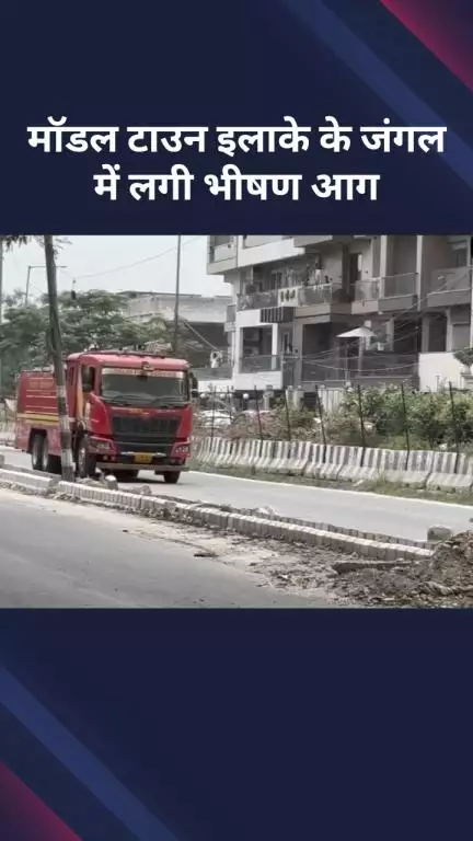 मॉडल टाऊन: मॉडल टाउन इलाके के जंगल में लगी भीषण आग