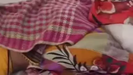 खालवा: खालवा रोड पर जंगली भेड़िये ने बुजुर्ग महिला पर किया हमला
