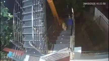 पाटी: पाटी विकासखंड के खेतीखान में गुलदार की दहशत से लोग परेशान, घरों के अंदर जाने का प्रयास, जल्द निजात दिलाने की उठाई मांग