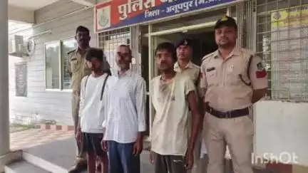 कोतमा: बिजुरी पुलिस ने फरार वारंटी को किया गिरफ्तार