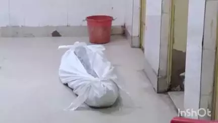 एटा: धूमरी की 33 वर्षीय विवाहित महिला की सांप के काटने से हुई मौत, परिजनों में मचा कोहराम