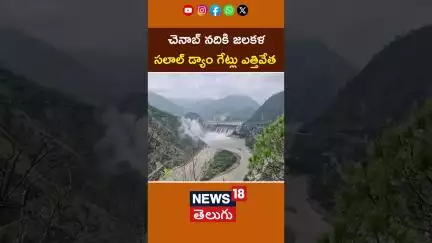 Salal Dam Gates Opened Amid Chenab River| చెనాబ్ నదికి జలకళ ..  సలాల్ డ్యాం గేట్లు ఎత్తివేత #shorts