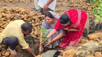 चौरई: चौरई नगर में जल गंगा संवर्धन अभियान के तहत विधायक, पूर्व विधायक और जनपद अध्यक्ष ने किया पौधारोपण