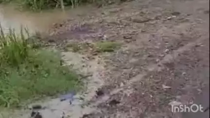 पलिया: पलिया में शारदा नदी का बढ़ा जलस्तर, बाढ़ के मुहाने पर पलिया-भीरा मार्ग पर मंडराने लगा बाढ़ का खतरा