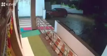 रत्नागिरी: धामणी येथे बिबट्याकडून मांजराची शिकार; घटना सीसीटीव्हीत कैद