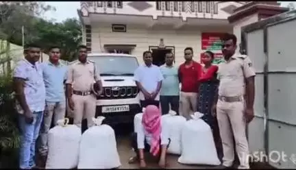 ରେଙ୍ଗାଲି: ଗୁଇନ୍ଦା ଅବକାରୀ ବିଭାଗ ଦ୍ୱାରା ସିଙ୍ଗପାଲି ଡୁଙ୍ଗୁରିଆପଡା ଅଞ୍ଚଳରୁ 105 କେଜି ଗଞ୍ଜେଇ ଜବତ, ଜଣେ ଗିରଫ