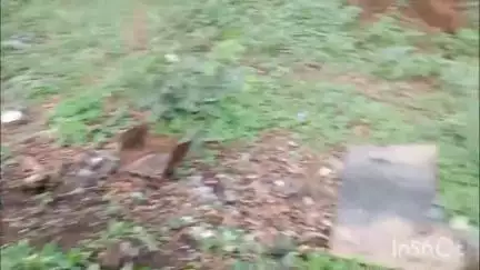 दुर्ग: पंथी चौक पर सोमवार को दूध ले जा रहे युवक को अज्ञात वाहन ने मारी ठोकर, इलाज जारी