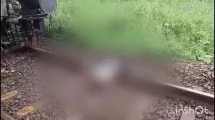കണയന്നൂർ: തൃപ്പൂണിത്തുറ റെയിൽവേ സ്റ്റേഷനിൽ ട്രെയിനിന് മുന്നിൽ ചാടി യുവാവ് ആത്മഹത്യ ചെയ്തു