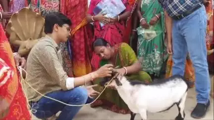 তপন: কাটাবাড়িতে 25 জনকে নিয়ে ছাগল পালনের প্রশিক্ষণ কর্মসূচির আয়োজন