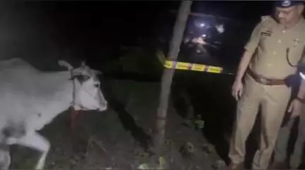 भिनगा: मरवटिया नहर पुल पर मुठभेड़ में 2 आरोपी गिरफ्तार, 1 गोवंश व गोवध उपकरण बरामद