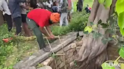 मुरैना: माता बसैया गांव: कुएं में गिरे नंदी को चंबल गौ रक्षा सेवा समिति ने सुरक्षित बाहर निकाला