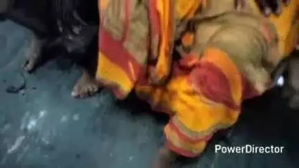डंडखोरा: बिजेली में खेत से घर आते समय महिला को जहरीले सांप ने काटा, अस्पताल में भर्ती