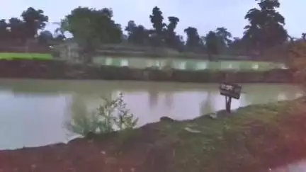 पलारी: 15 सालों से सेमरिया के किसान परेशान, नहीं मिल रहा खेत से पानी की निकासी की जगह, किसान हुए परेशान
