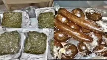 मुरुड: मुरुड- शिघ्रे तपासणी नाका येथे अंमली पदार्थांची मोठी तस्करी उघडकीस, लाखो रूपयांच्या मुद्देमालासह युवक जेरबंद