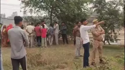हसनपुर: हसनपुर बिजली घर के पास पेड़ पर लटका मिला युवक का शव, परिवार में मचा कोहराम