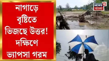 Weather News Today : নাগাড়ে বৃষ্টিতে ভিজছে উত্তর! ভ্যাপসা গরমে হাঁসফাঁস দক্ষিণবঙ্গ! | Bangla News