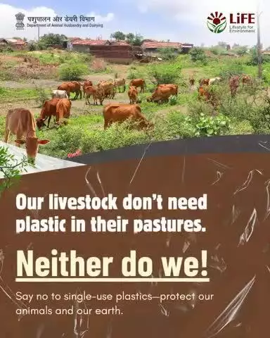 #WorldEnvironmentDay 
Together, we can end plastic pollution in livestock farming. Say no to single-use plastics and protect our shared future.
#MissionLife #EndPlasticPollution #NatureAndLivestock