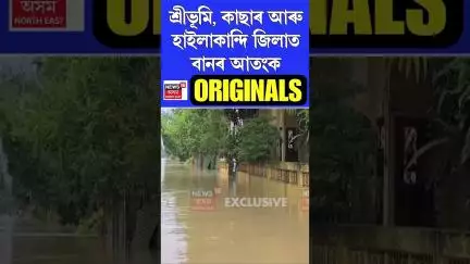 ৰাজ্যৰ ২২খন ৰাজ্যলৈ সম্প্ৰসাৰিত শেহতীয়া বান | Assam Floods #shorts n18s 03/06/25