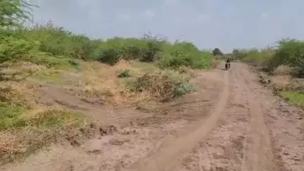 शहादा: करणखेडा ते बोरद रस्त्याच्या समस्येने शेतकरी त्रस्त; तातडीने काम सुरू करण्याची शेतकऱ्यांची मागणी #Jansamasya
