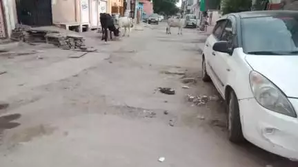 सुभाषनगर वार्ड 64 मे सडक टुटी हुई हे आम आदमी पार्टी के नेता हेमेन्द्र मेहता ने सडक को प्रशासन से ठीक करवाने की मांग की