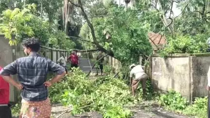 ചാവക്കാട്: അകലാട് ബദർ പള്ളി ബീച്ചിൽ ഇന്ന് രാവിലെ മഴയോടൊപ്പം ഉണ്ടായ ശക്തമായ കാറ്റിൽ വ്യാപകനാശം